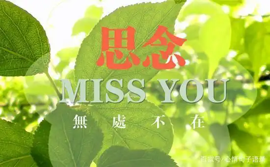 思念一个人的心情短语,真实简单的思念恋人的暖心情话