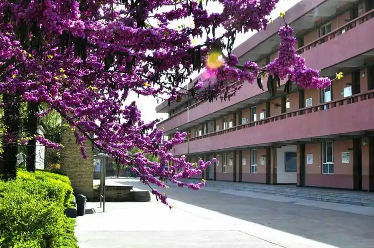 其它 家门口的好学校——鄠邑区宋村初中办学成果宣传片   四,校园