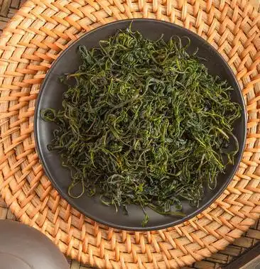 2020年新茶小叶苦丁茶毛冬青嫩芽青山绿水茶