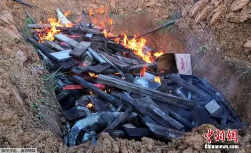 印尼男子被鳄鱼杀死村民为复仇怒杀300只鳄鱼