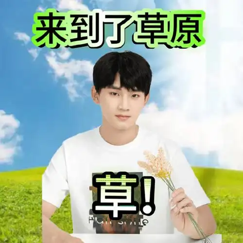 姚琛超话1215#琛人琛事#前来溅射土味表情包