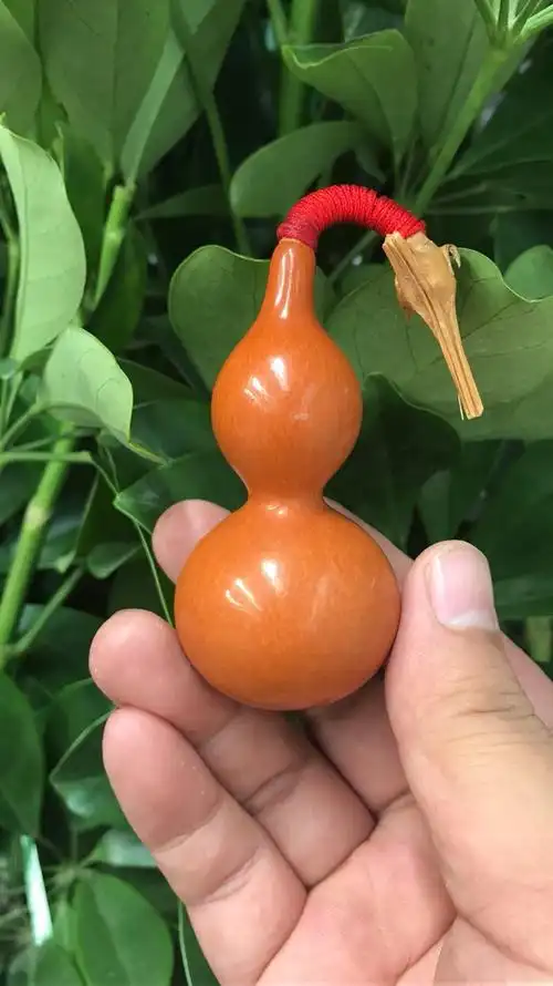 文玩葫芦照片_文玩葫芦相册大全-yy官方