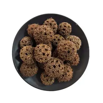 中药枫树果的树(枫树果子药用价值)