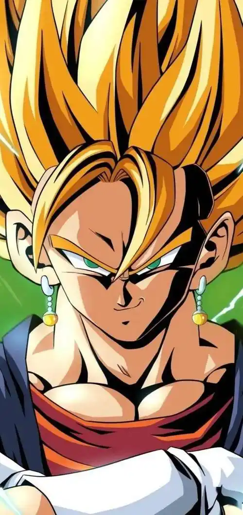 七龙珠壁纸贝吉特来了