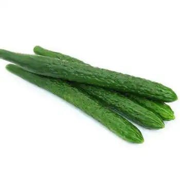 龙烜 长黄瓜 新鲜蔬菜 水果黄瓜小青瓜 1500g