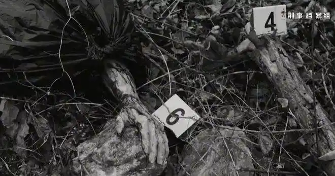 杀人|尸体|高家|尸块|碎尸案|高科技_网易订阅