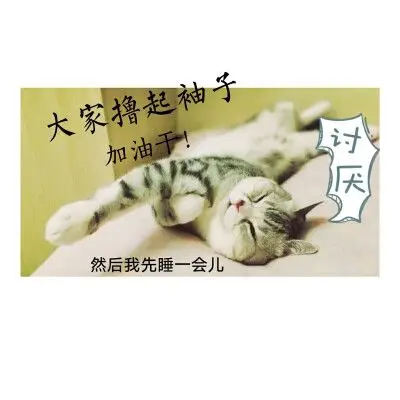 每天我起床之后,幺鸡都会等我出门了再睡回笼觉