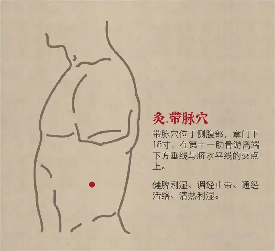 带脉穴有健脾利湿,调经止带的作用 的功效.