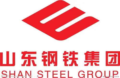 山东钢铁集团有限公司