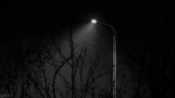 我和我自己,在孤独的夜里