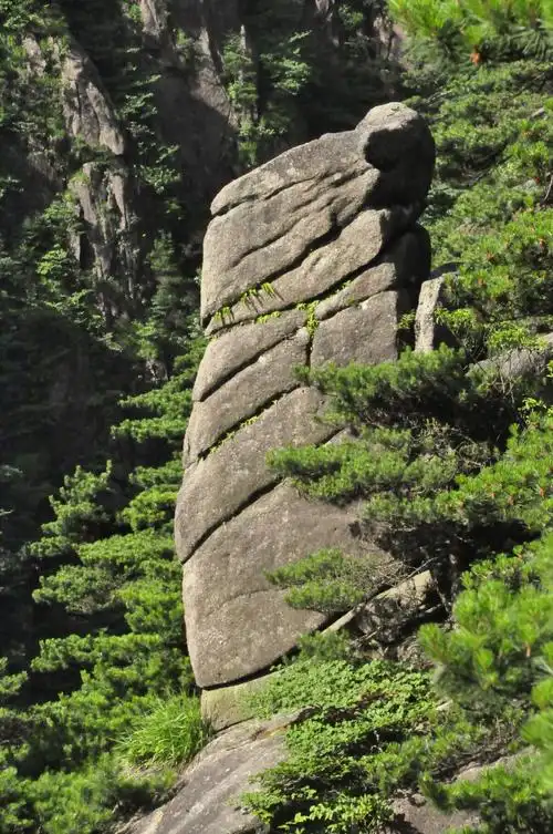 黄山的奇峰异石