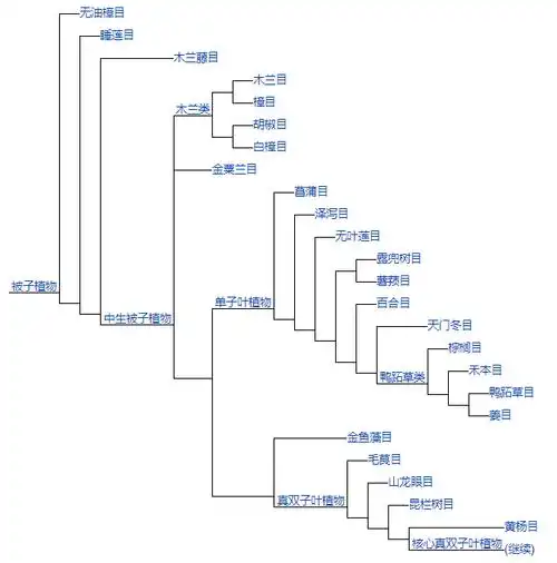 植物分类系统图(植物apg系统图)