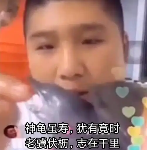 刀哥正能量表情包