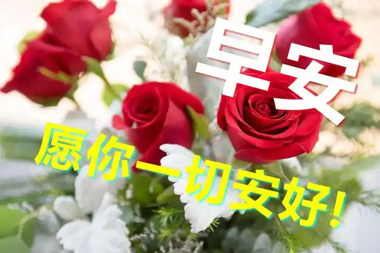 群发最好看早上好图片大全动态表情2020最新早上好问候动态表情图片带