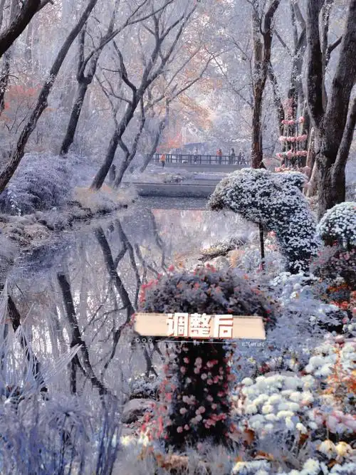 1080_1441竖版 竖屏