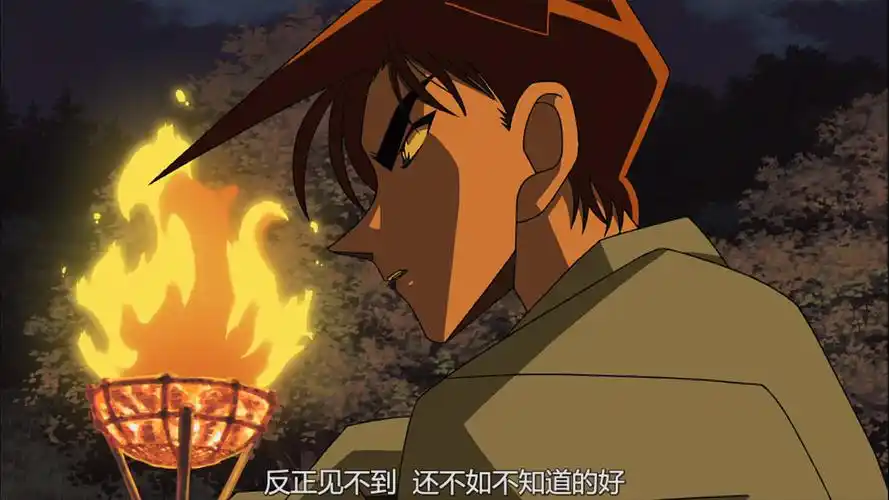 名侦探柯南 迷宫的十字路口截图 服部平次-堆糖,美好生活研究所