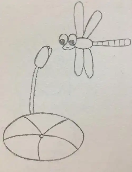 小荷才露尖尖角早有蜻蜓立上的画小荷才露尖尖角什么蜻蜓立上头