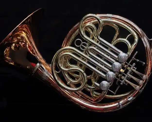 法国圆号,黑色背景 壁纸