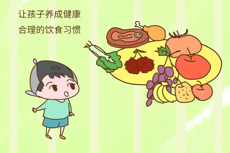 合理的饮食