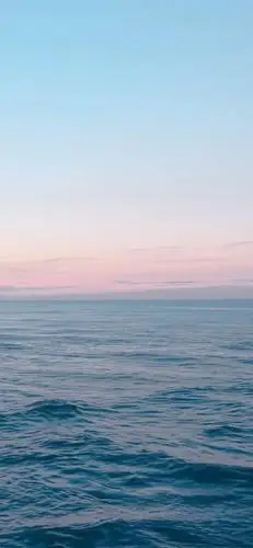 iphonex壁纸手机壁纸聊天背景图