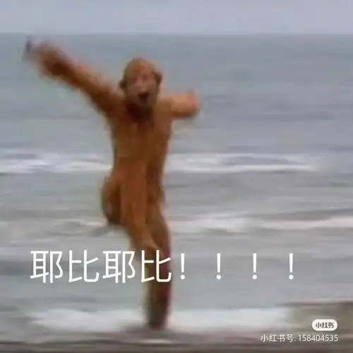 这就是世界的参差嘛