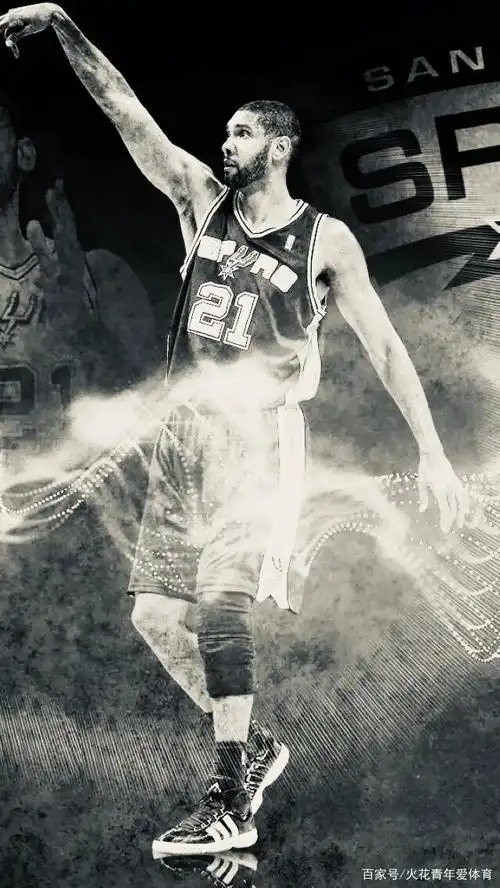 蒂姆·邓肯银色调壁纸