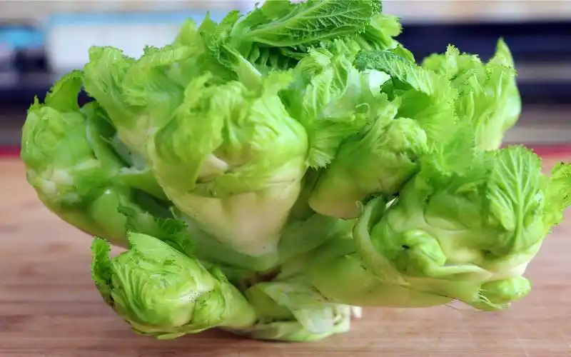 湖北的朋友不会做儿菜,川菜师傅量身定制做法,食材和做法都简单_哔哩