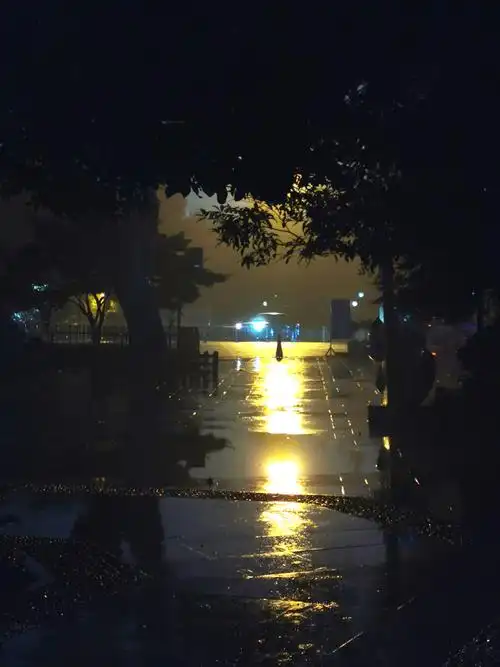 09           摄影地点:西湖风景区          摄影内容:雨夜西湖畔随