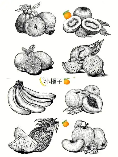 蔬菜77水果线描写生合集来咯快来围观