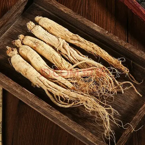 人参长白山干泡酒干参白参生晒参东北整枝林下参整支人生泡酒 整支