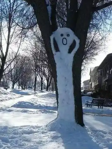 大雪过后,谁堆的雪人?你是要笑死我吗?_美女_时候_表情