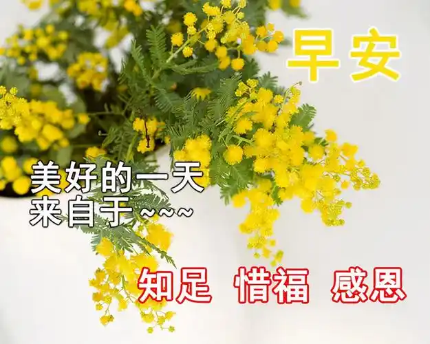 简短早安问候语精选,一句话早安心语!秋季早晨关心的问候语