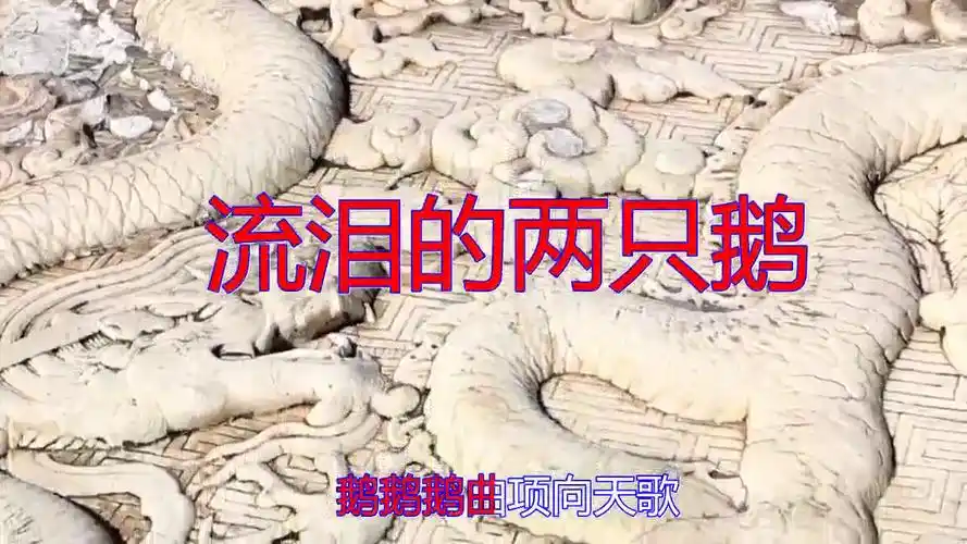 好歌分享,《流泪的两只鹅》,歌喉清婉,温柔动听