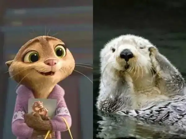 水獭是半水栖兽类,别看它身材娇小,人家可是纯正的食肉性动物呢,别忘