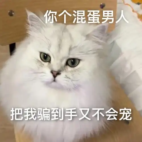 不如把你卖了买杯奶茶算了!#发给对象表情包 #猫咪表 - 抖音