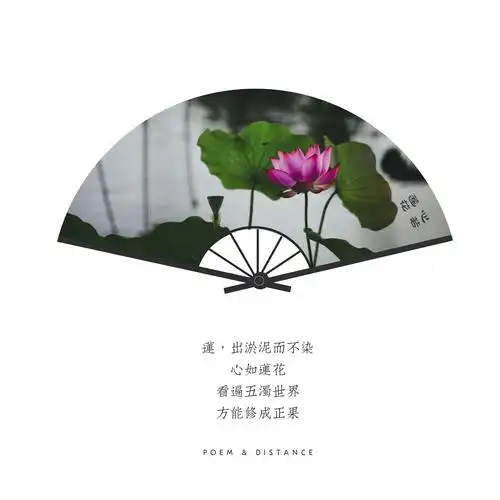 心若莲花万般禅