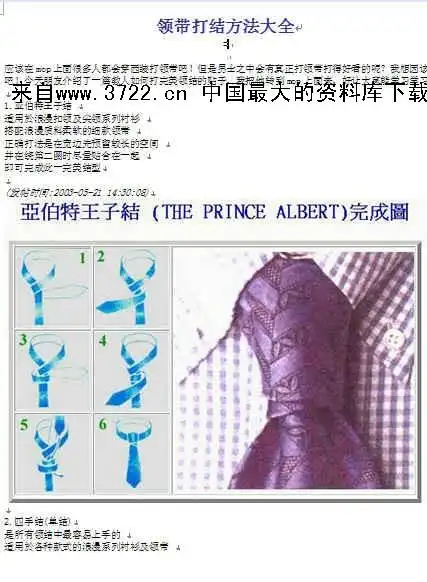 免费资料生活休闲领带丝巾打结方法大全doc22页