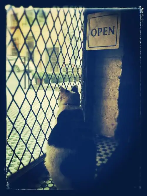 外面的世界很精彩吧!