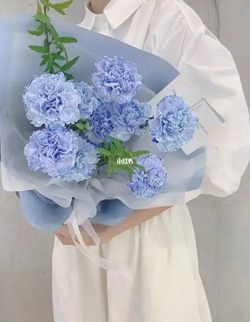 一抹蓝康乃馨花束