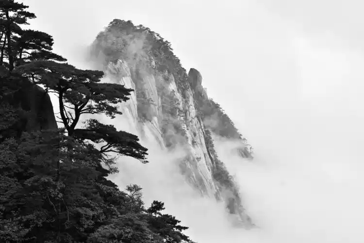 水墨黄山,文人梦幻 风光 黄山风景区 7mx年度摄影大奖赛—我的2017