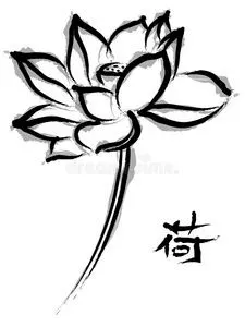 禅荷花中国画中的荷花照片