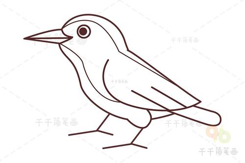 可爱小鸟简笔画画法步骤
