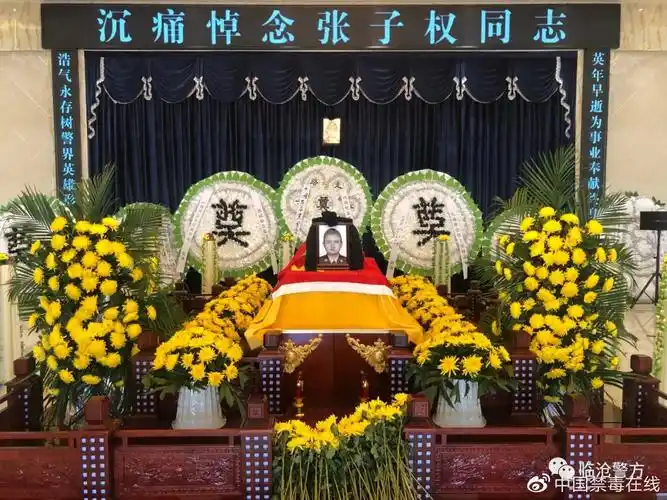 今天这条推送我们带着敬意含着泪写下