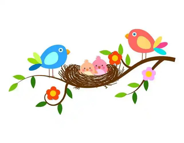 鸟窝简笔画 鸟窝简笔画图片大全可爱 - 水彩迷
