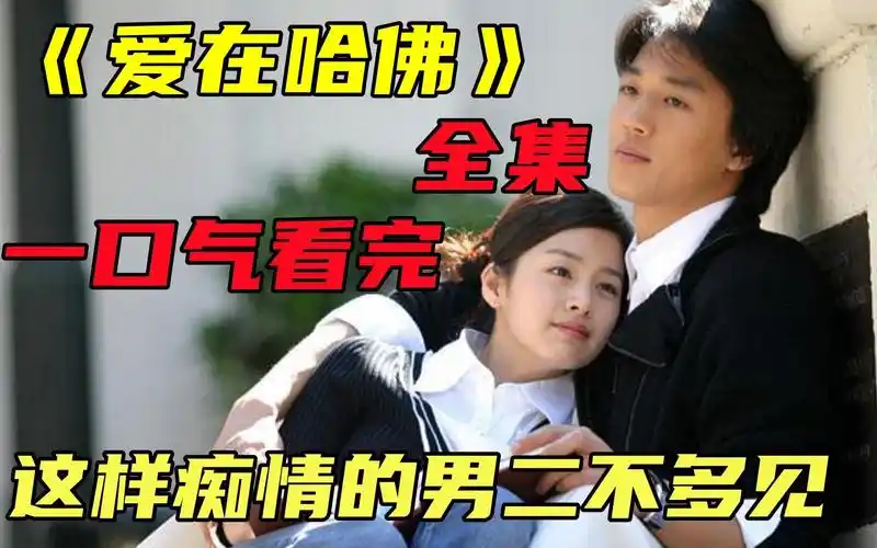 【爱在哈佛】一口气看完经典韩剧,这样痴情的男二不多见