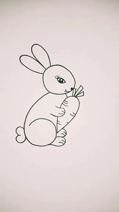 简笔画教程,小兔兔吃胡萝卜