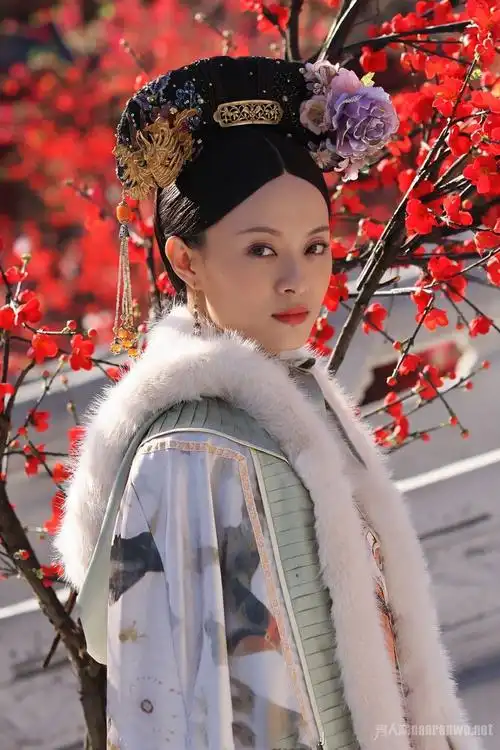 《甄嬛传》以上就是小编给大家介绍的孙俪演过的电视剧,有兴趣的朋友