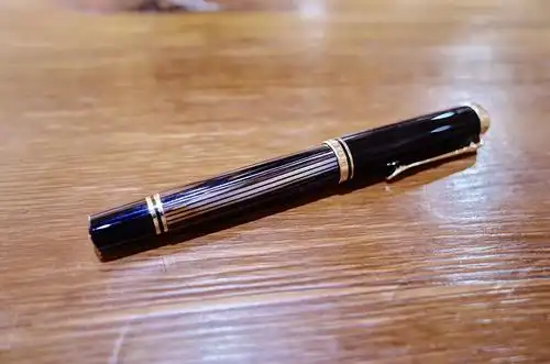 百利金m400棕龟顺便拍了下