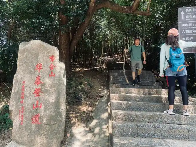 69♀15连续三个周末爬紫金山啦3条路线分享给大家11566蒋王庙