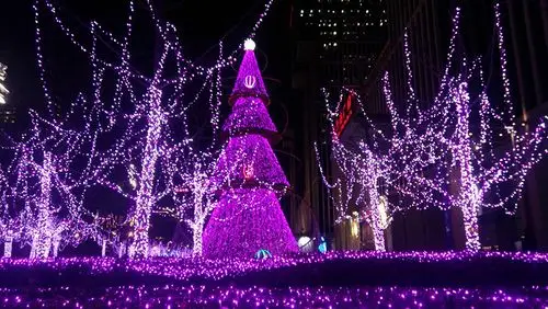 公园照明能解决什么问题?